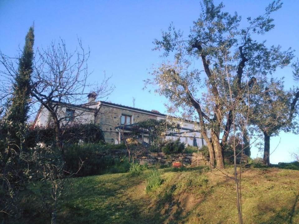 Agriturismo Menghino Nievole Εξωτερικό φωτογραφία
